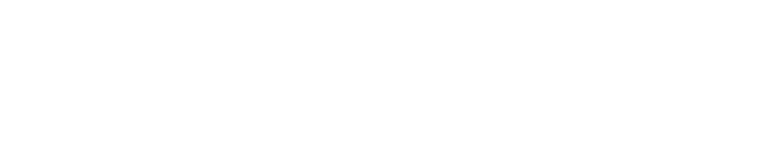 Pioneerhub Logo
